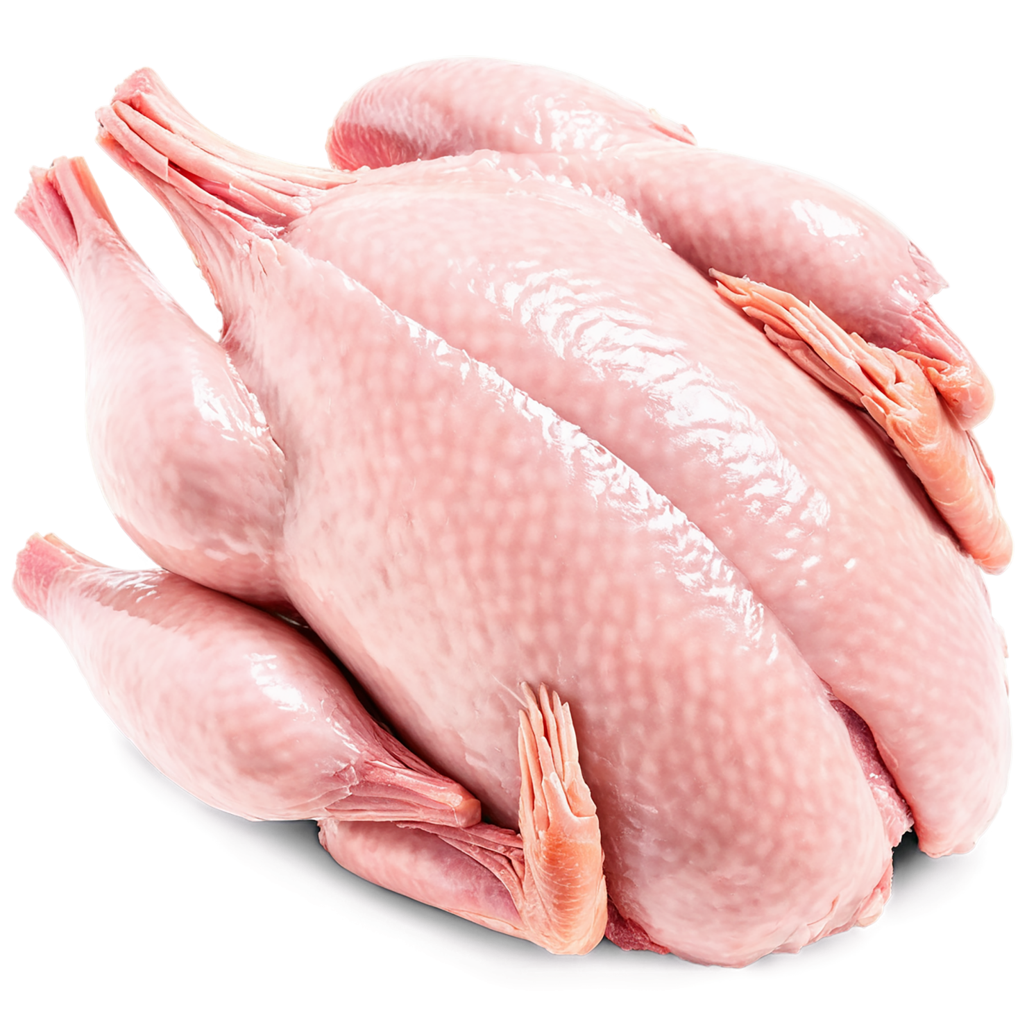 Chicken poultry proteins isolated on transparent background #8264
