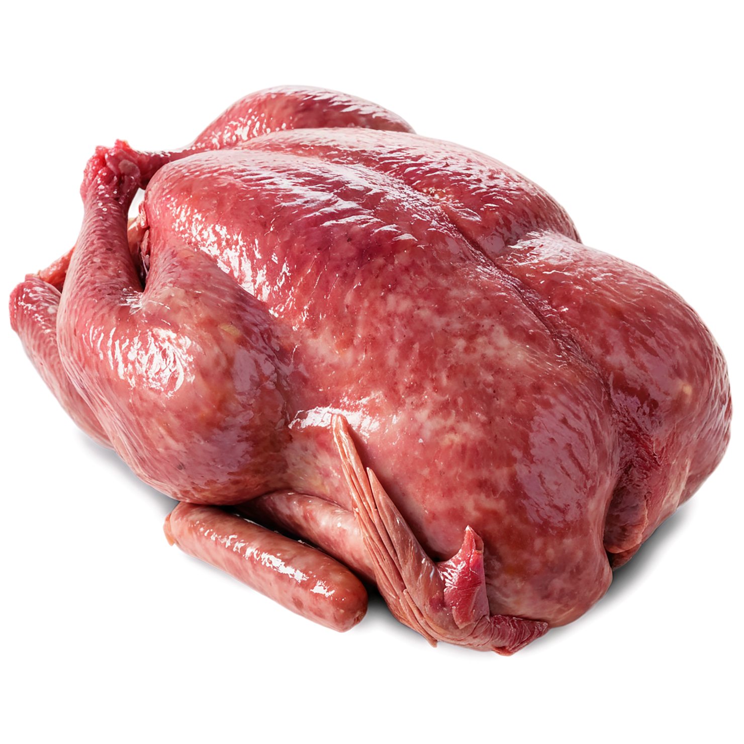 Chicken poultry proteins isolated on transparent background #8266