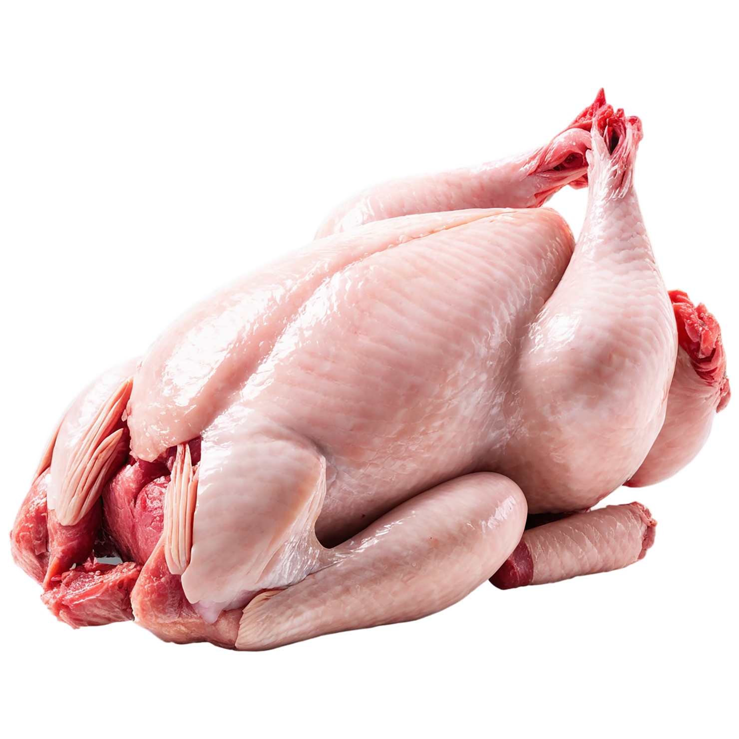 Chicken poultry proteins isolated on transparent background #8267