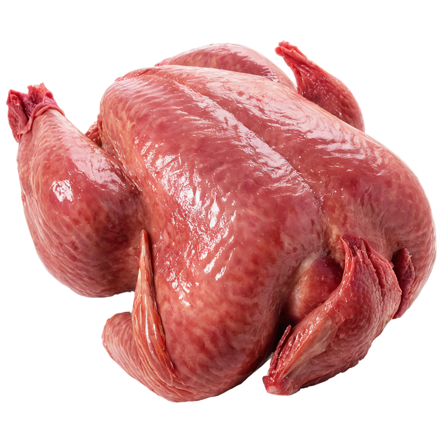 Chicken poultry proteins isolated on transparent background #8268