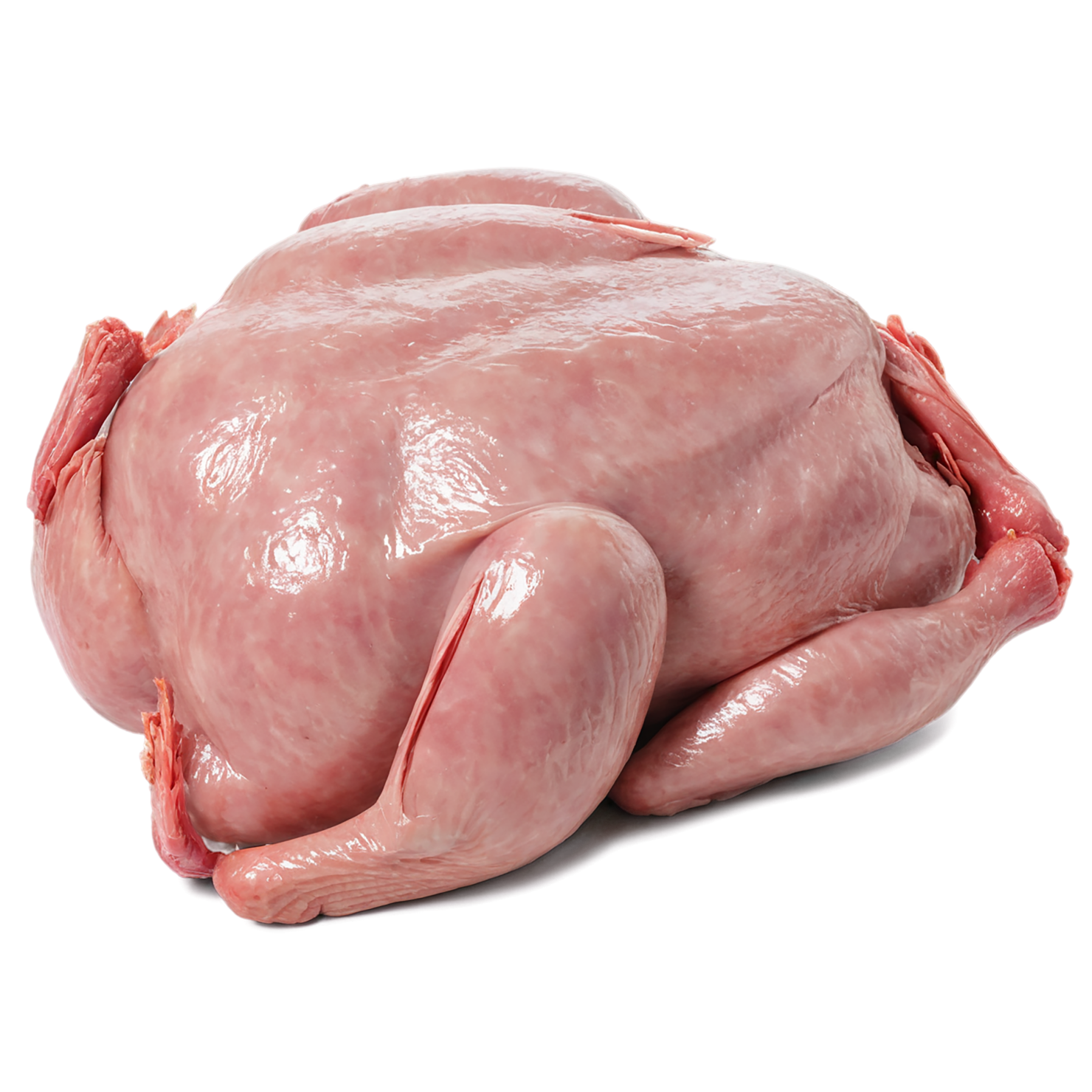 Chicken poultry proteins isolated on transparent background #8271