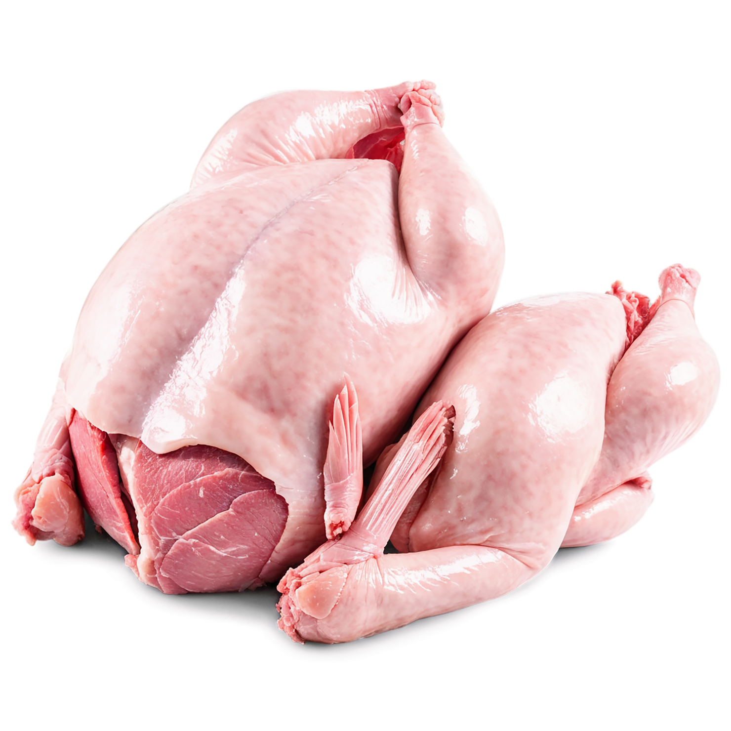 Chicken poultry proteins isolated on transparent background #8274