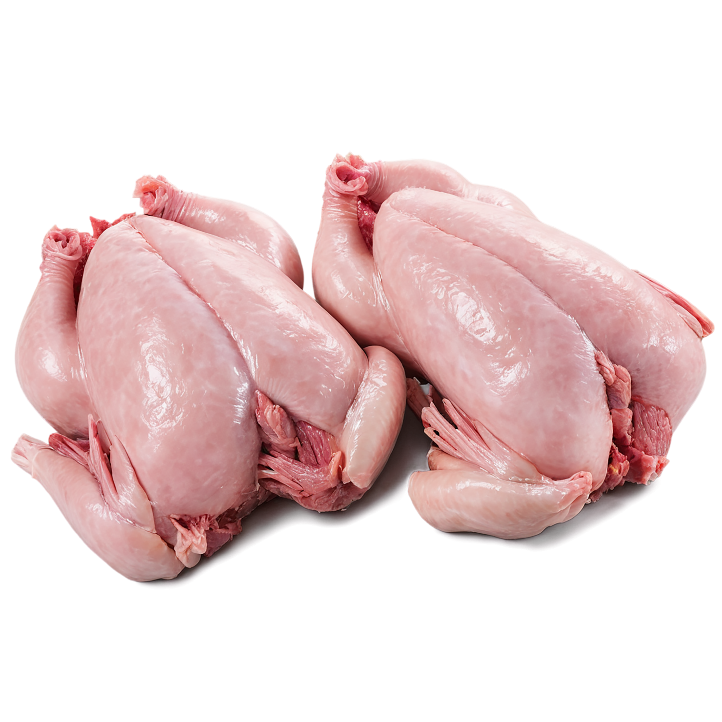 Chicken poultry proteins isolated on transparent background #8276