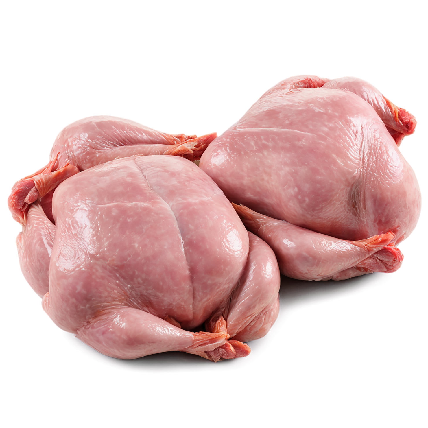 Chicken poultry proteins isolated on transparent background #8277