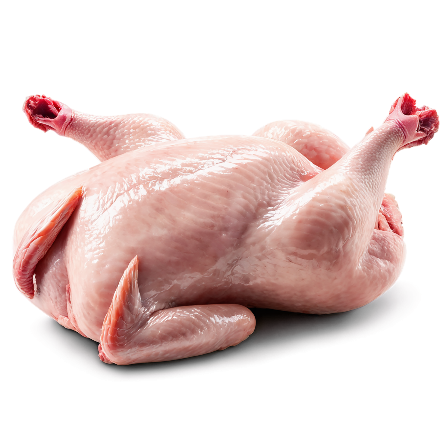 Chicken poultry proteins isolated on transparent background #8278