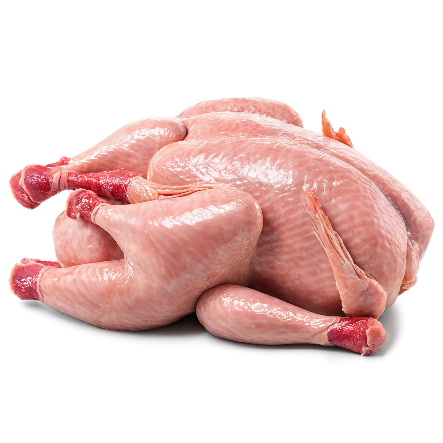 Chicken poultry proteins isolated on transparent background #8281