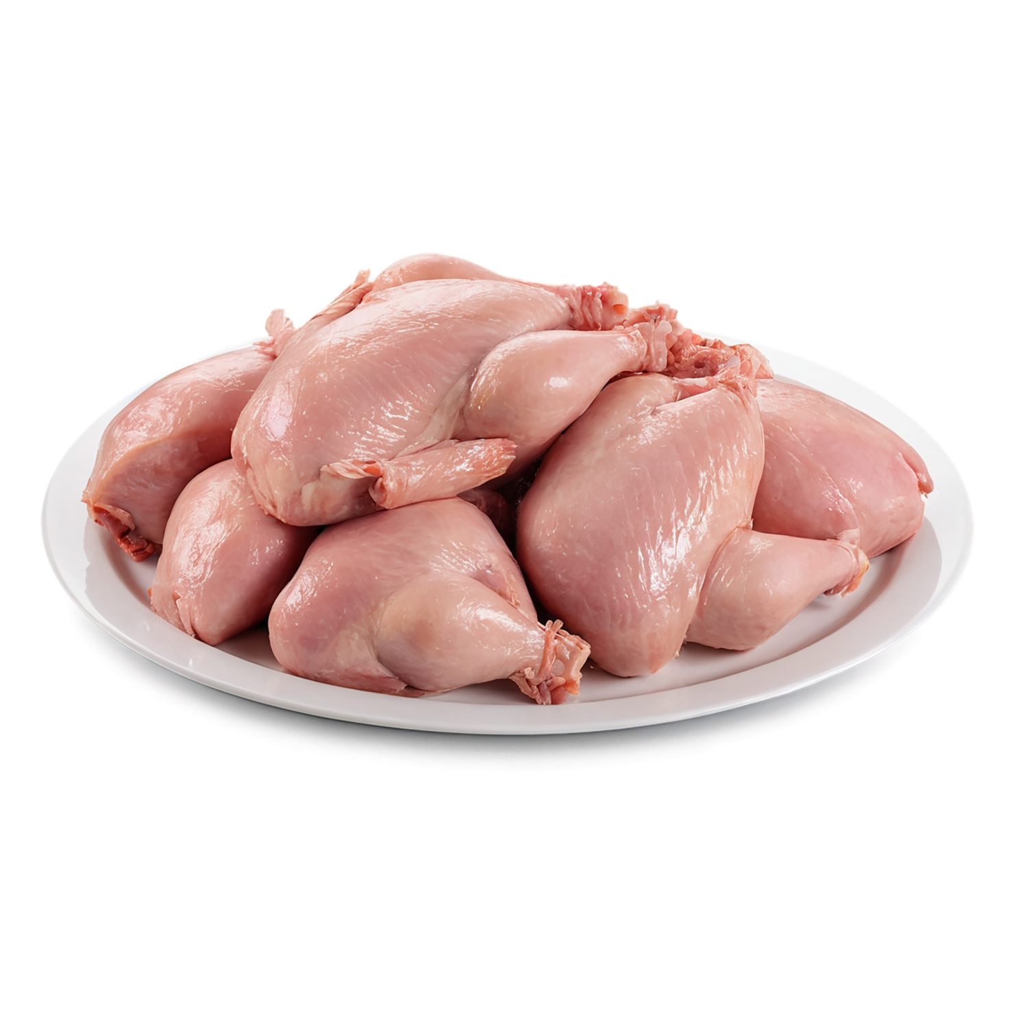 Chicken poultry proteins isolated on transparent background #8283