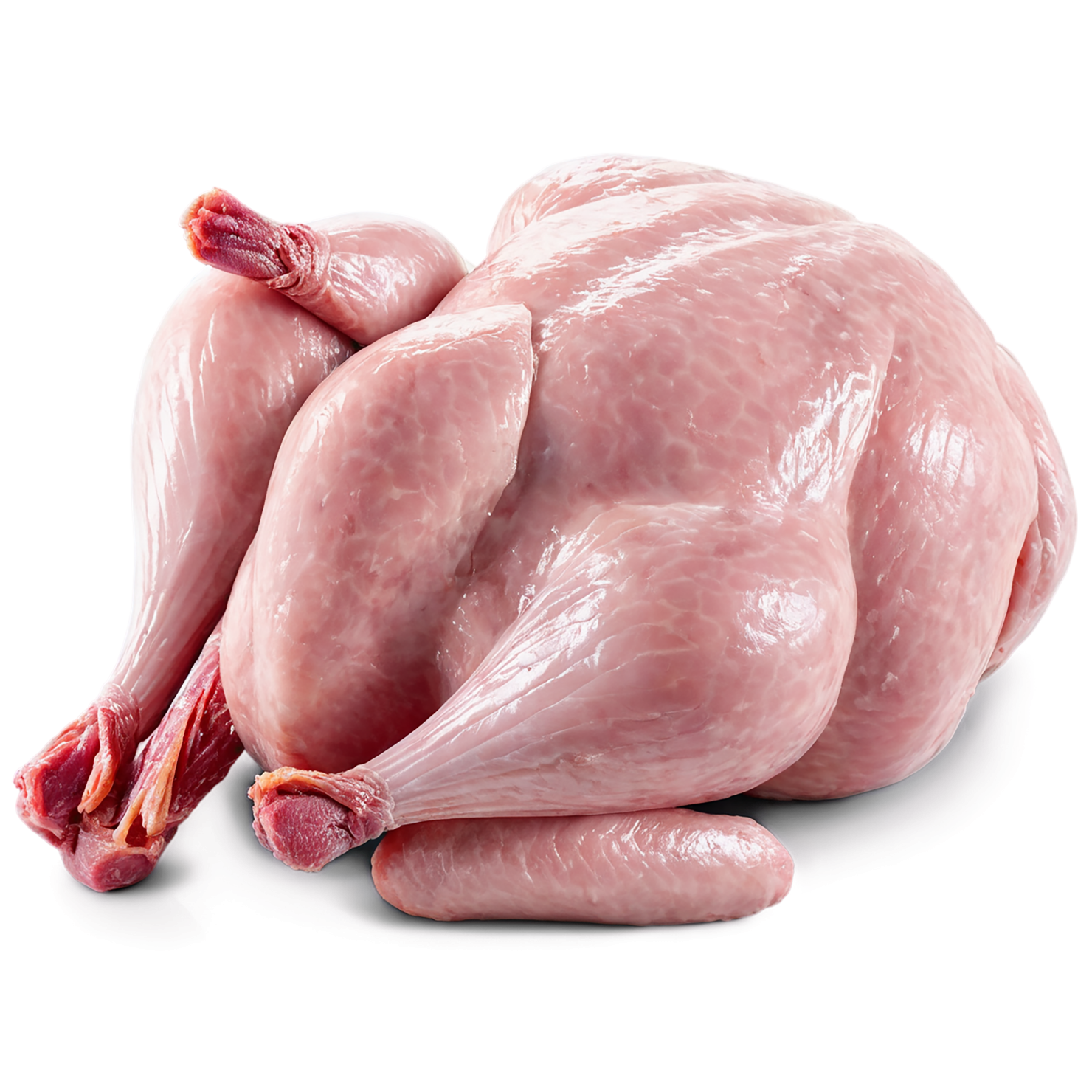 Chicken poultry proteins isolated on transparent background #8285
