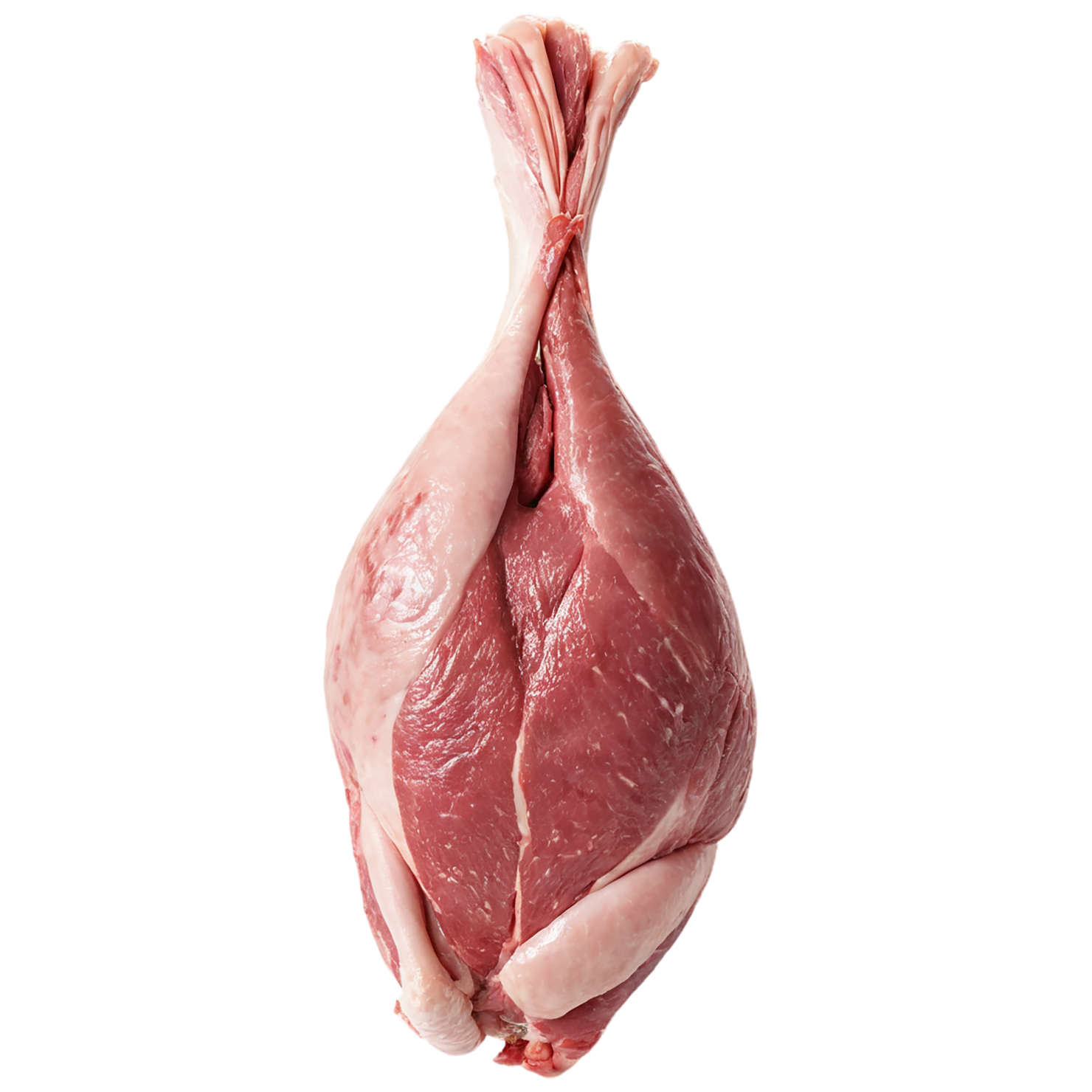 Chicken poultry proteins isolated on transparent background #8288