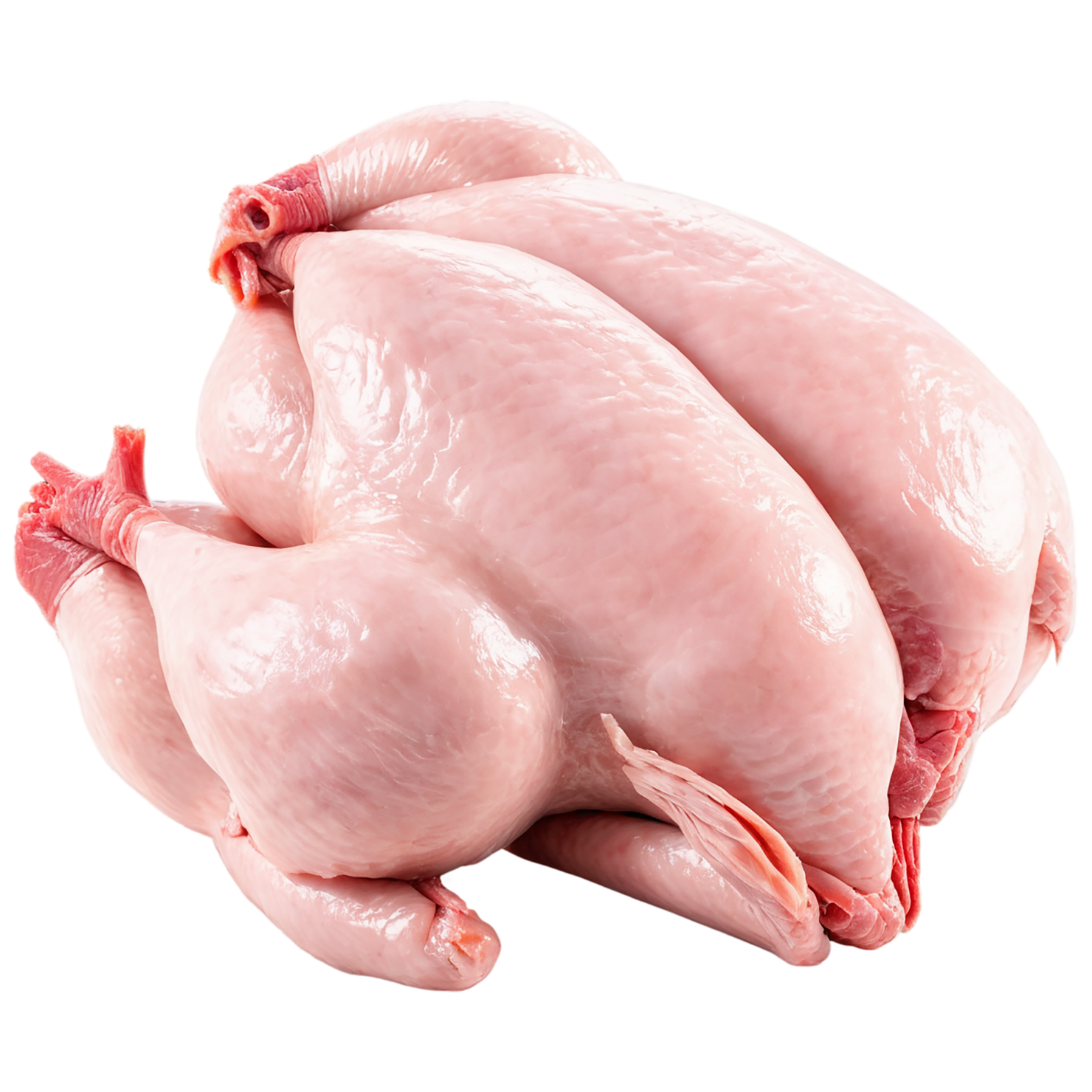 Chicken poultry proteins isolated on transparent background #8289