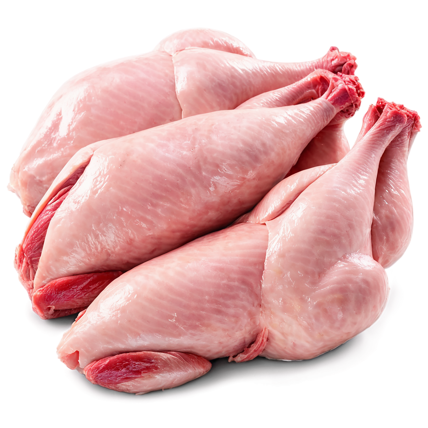 Chicken poultry proteins isolated on transparent background #8293