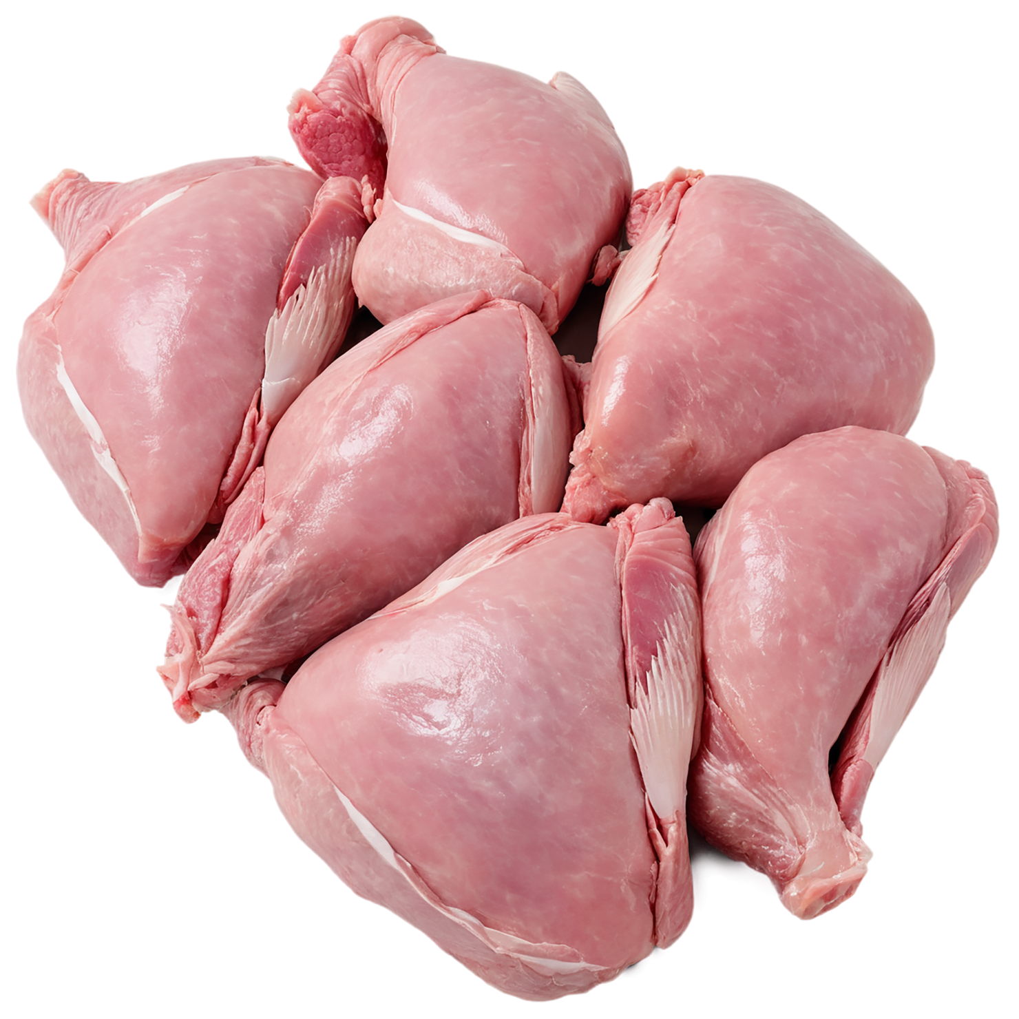 Chicken poultry proteins isolated on transparent background #8294