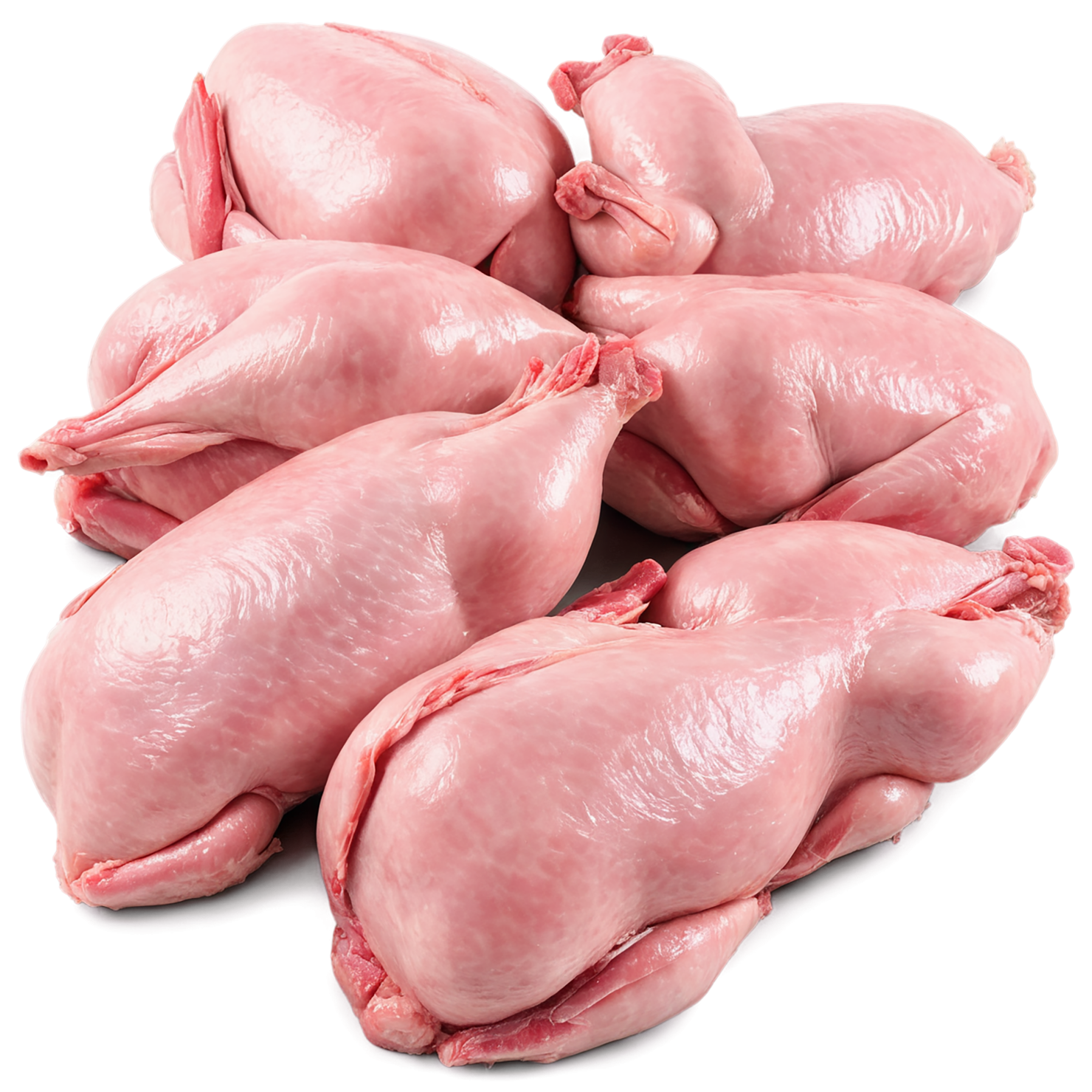Chicken poultry proteins isolated on transparent background #8297