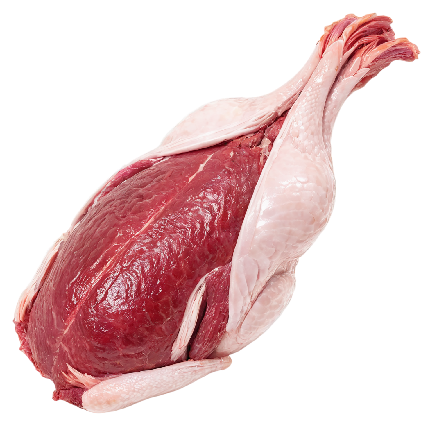 Chicken poultry proteins isolated on transparent background #8298