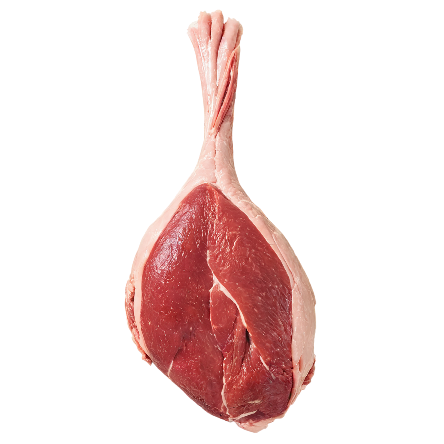 Chicken poultry proteins isolated on transparent background #8301