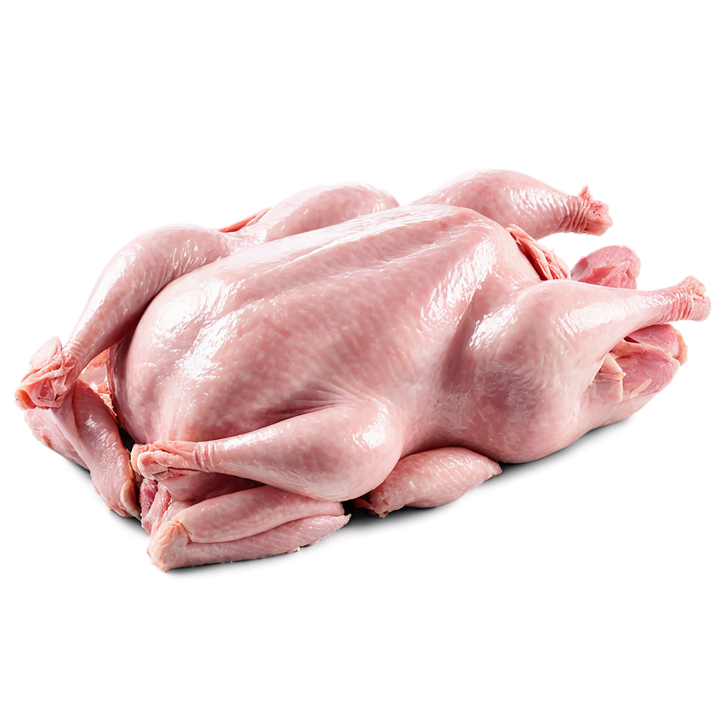 Chicken poultry proteins isolated on transparent background #8304