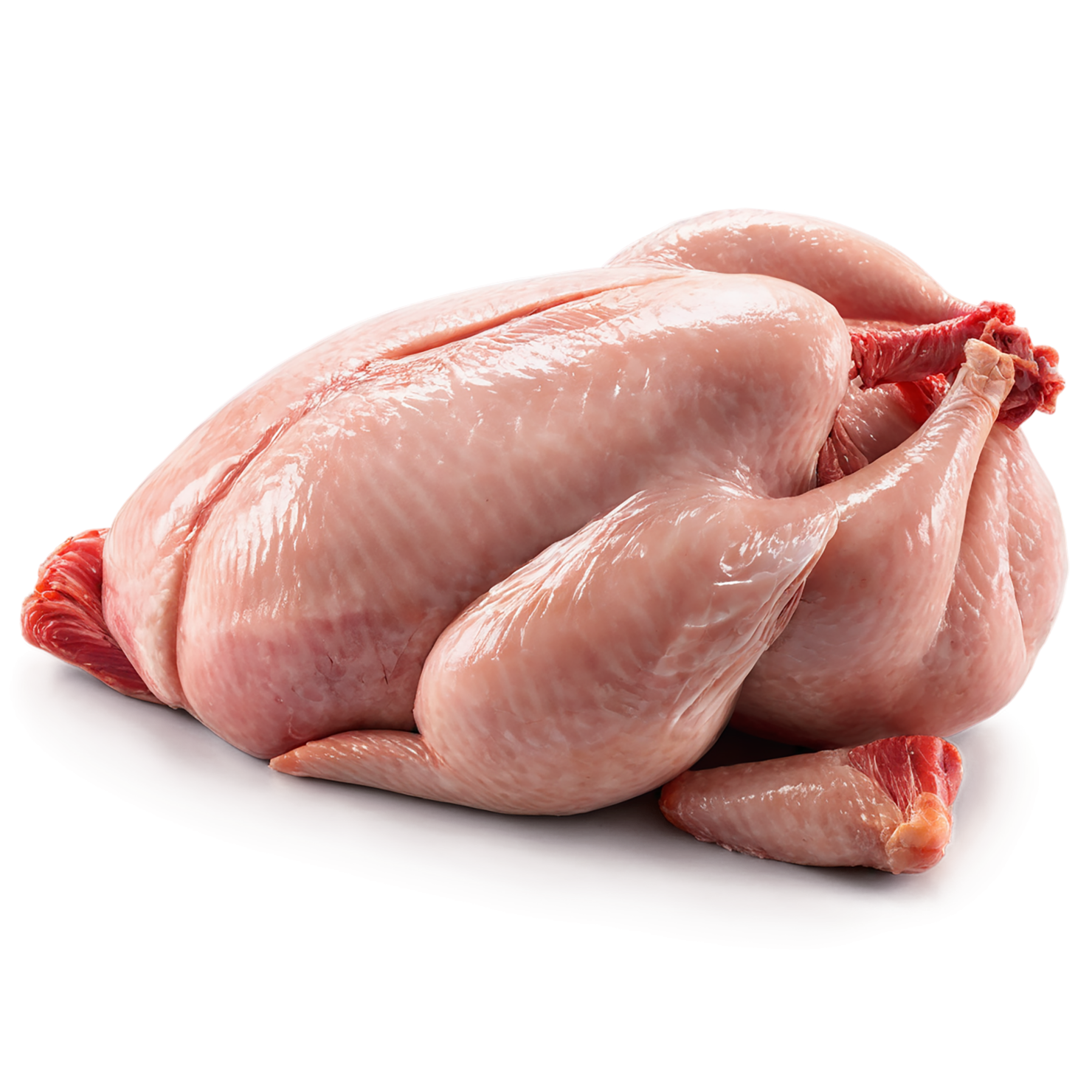 Chicken poultry proteins isolated on transparent background #8305