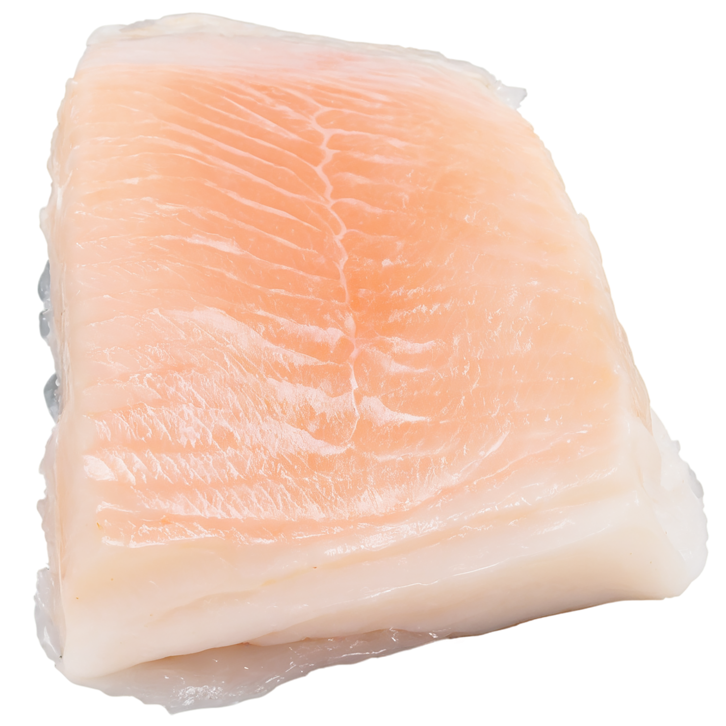 Cod fillet proteins isolated on transparent background #8308