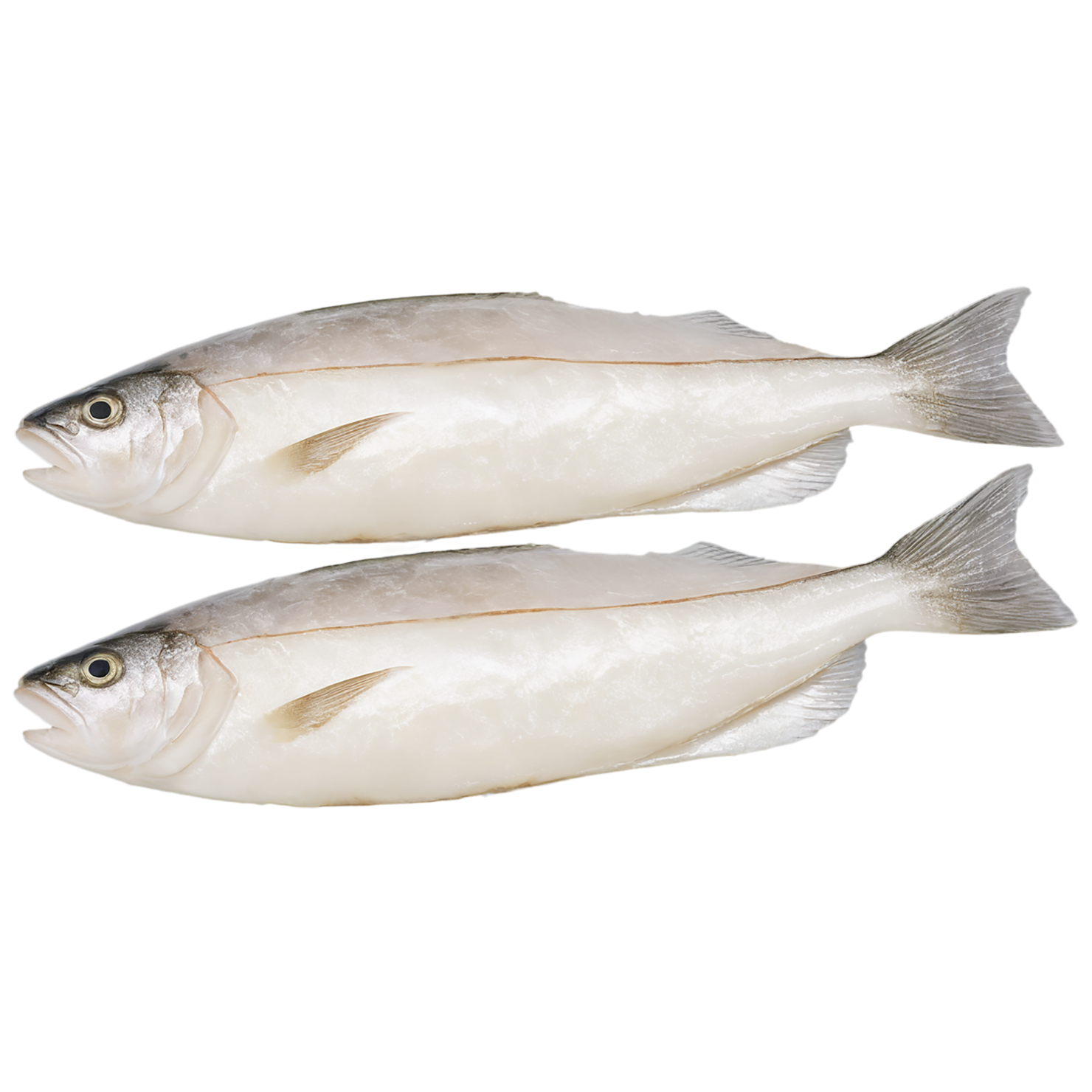 Cod fillet proteins isolated on transparent background #8317