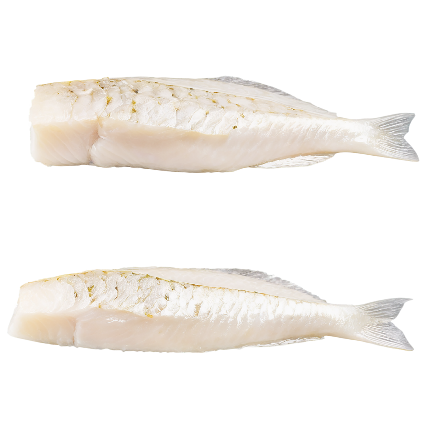 Cod fillet proteins isolated on transparent background #8321