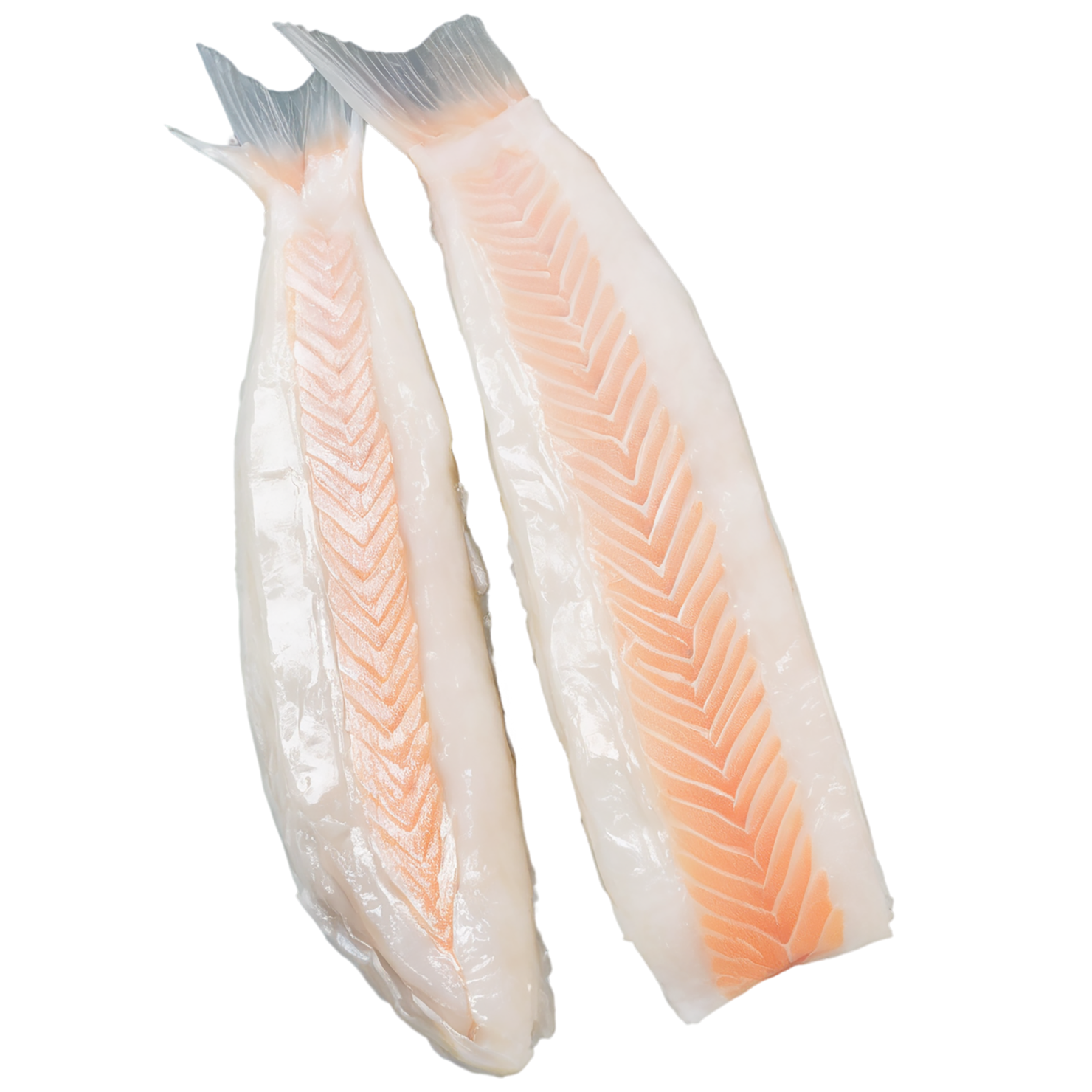 Cod fillet proteins isolated on transparent background #8322