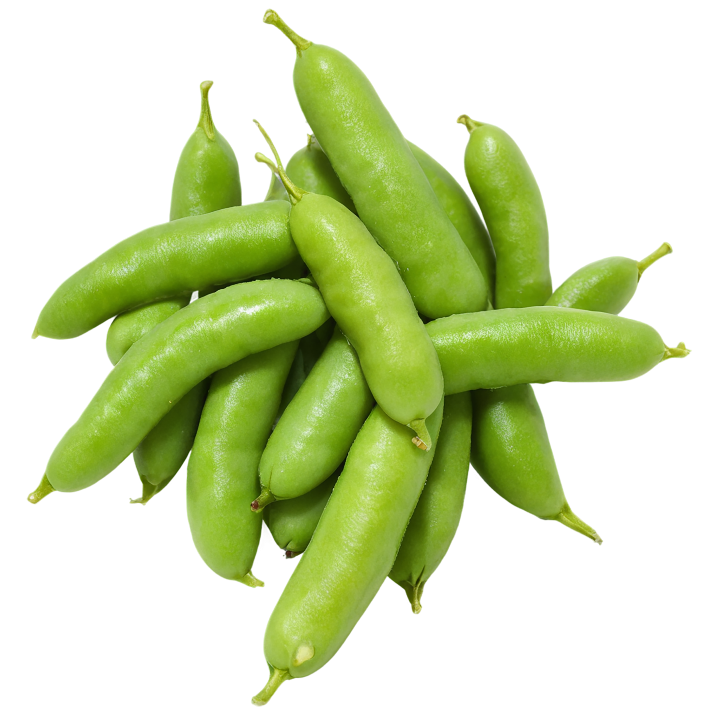 Edamame proteins isolated on transparent background #8335