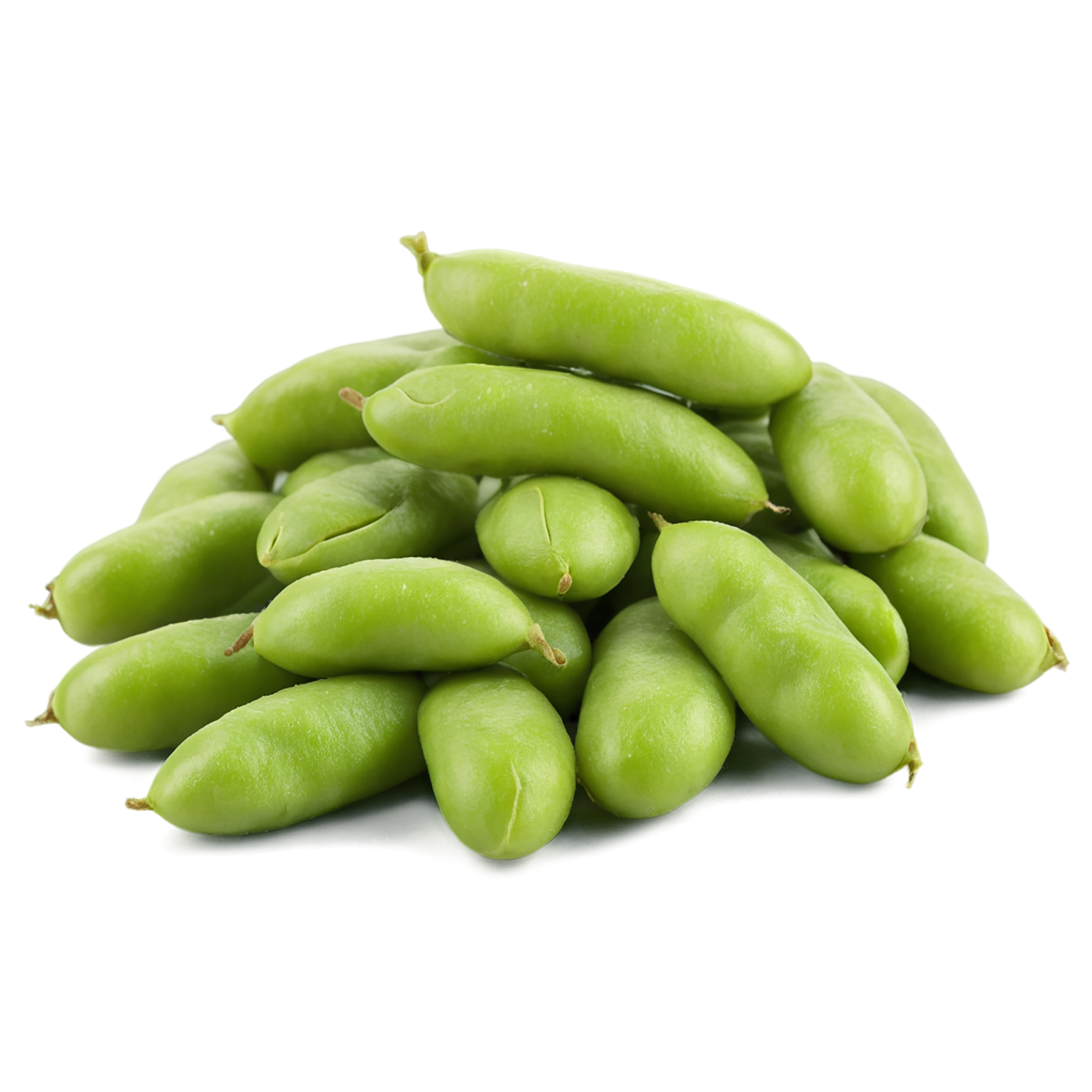 Edamame proteins isolated on transparent background #8336