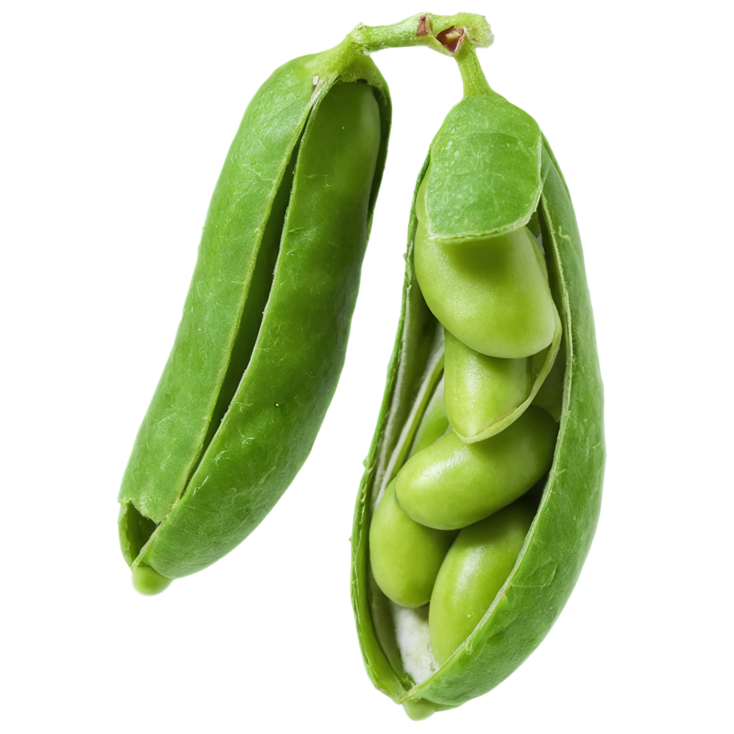 Edamame proteins isolated on transparent background #8340