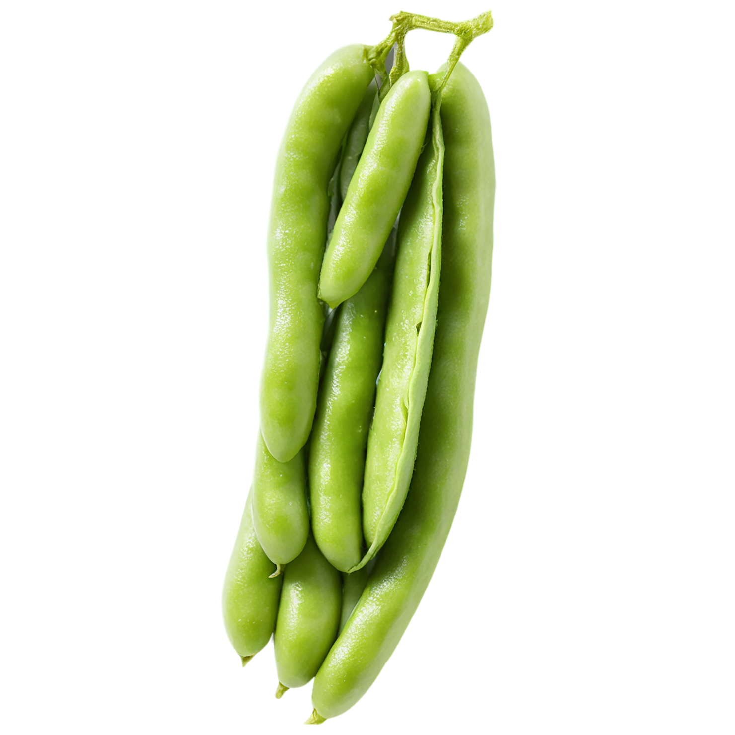 Edamame proteins isolated on transparent background #8343