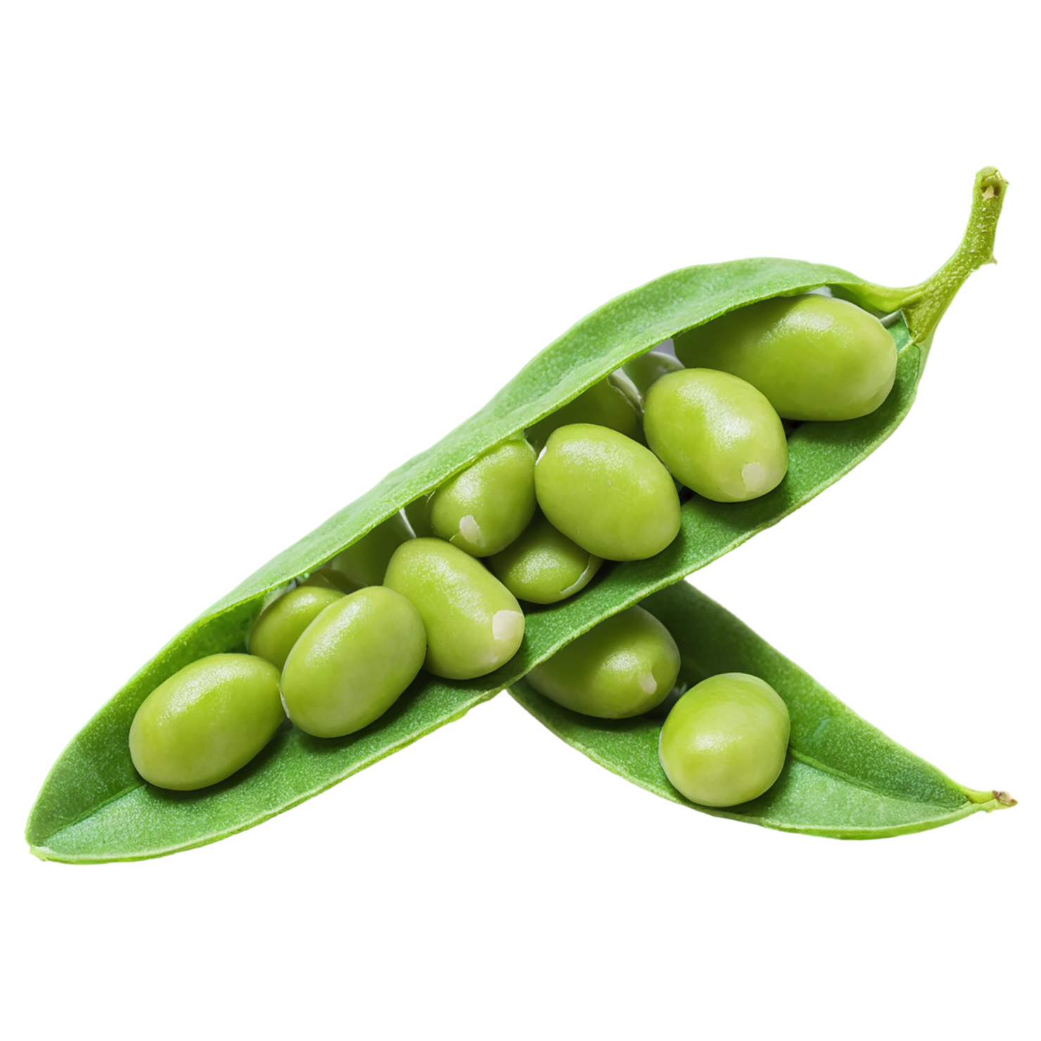 Edamame proteins isolated on transparent background #8345