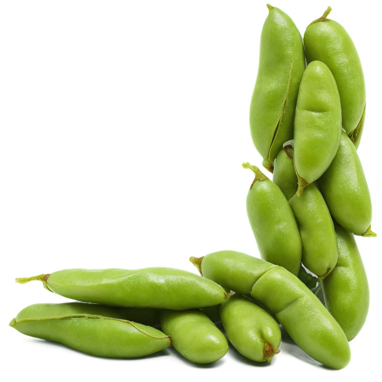 Edamame proteins isolated on transparent background #8347