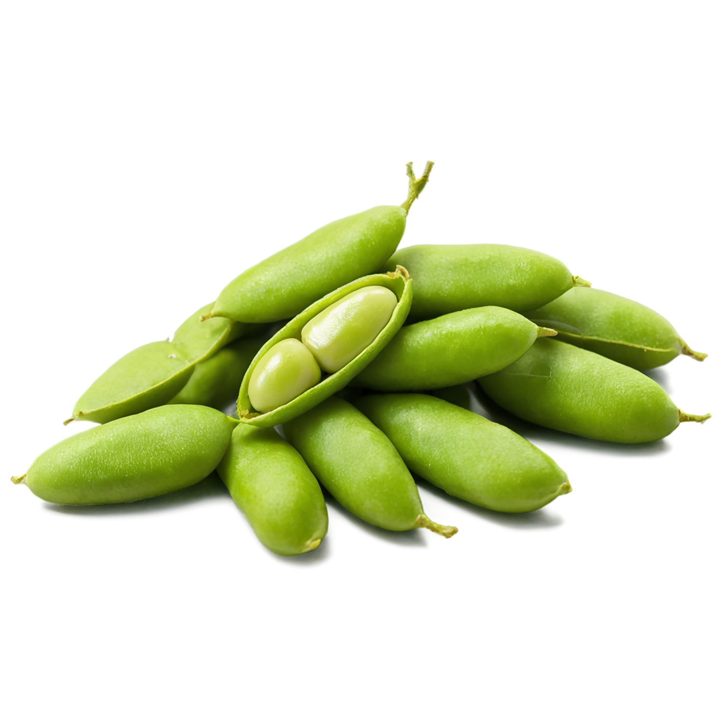 Edamame proteins isolated on transparent background #8348