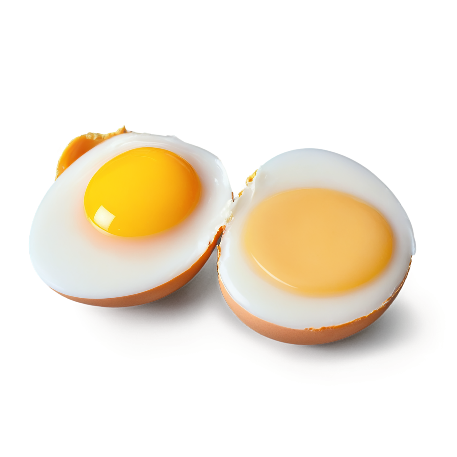 Egg yolk proteins isolated on transparent background #8359