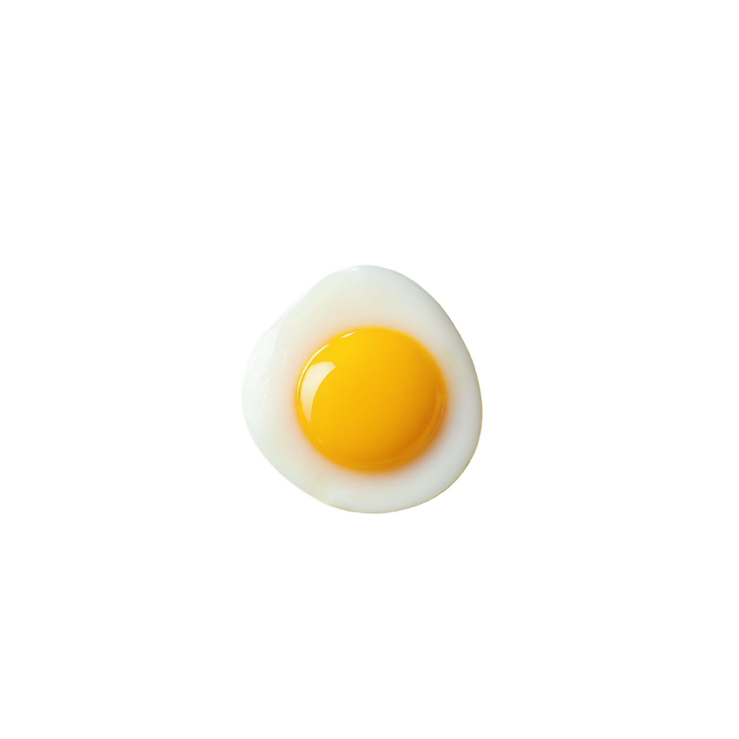 Egg yolk proteins isolated on transparent background #8362
