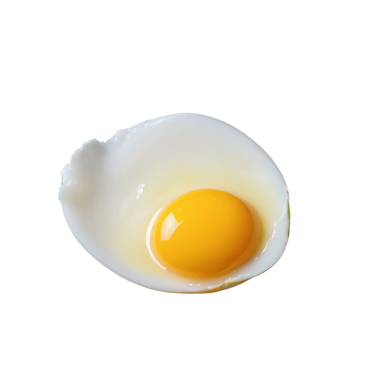 Egg yolk proteins isolated on transparent background #8379