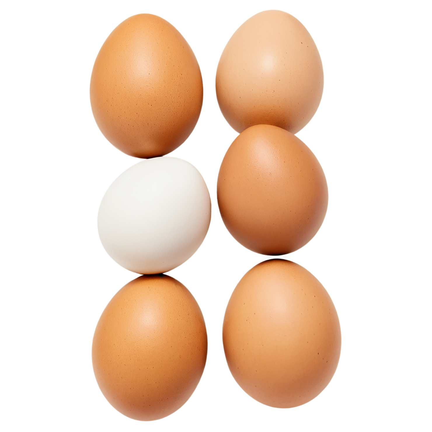 Egg proteins isolated on transparent background #8391