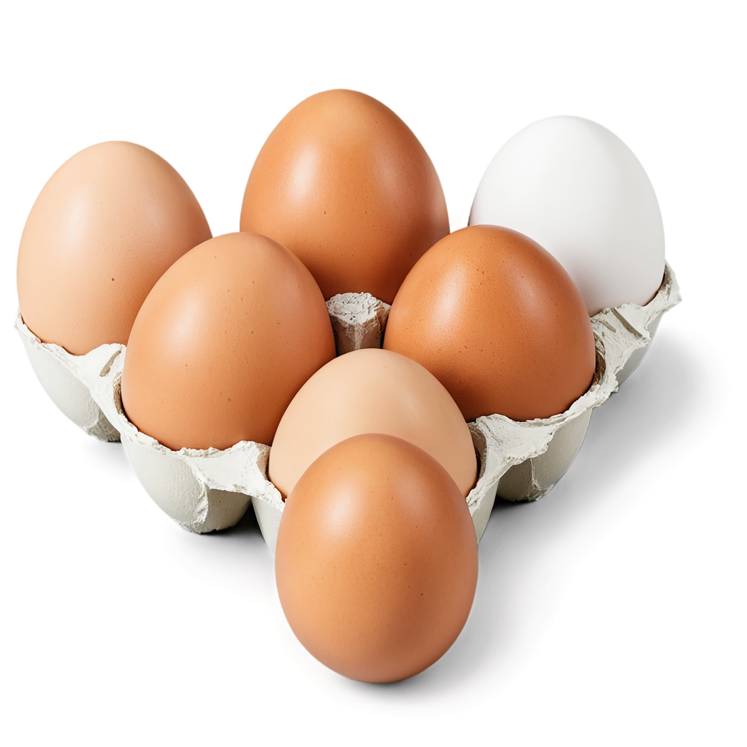 Egg proteins isolated on transparent background #8392