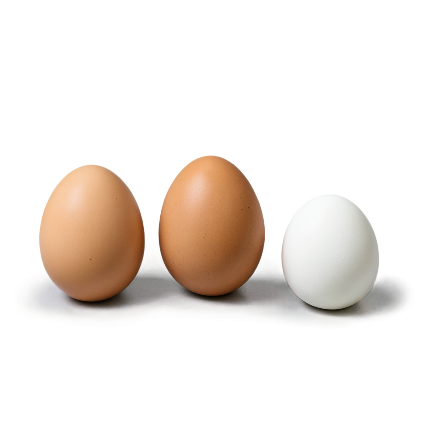 Egg proteins isolated on transparent background #8393