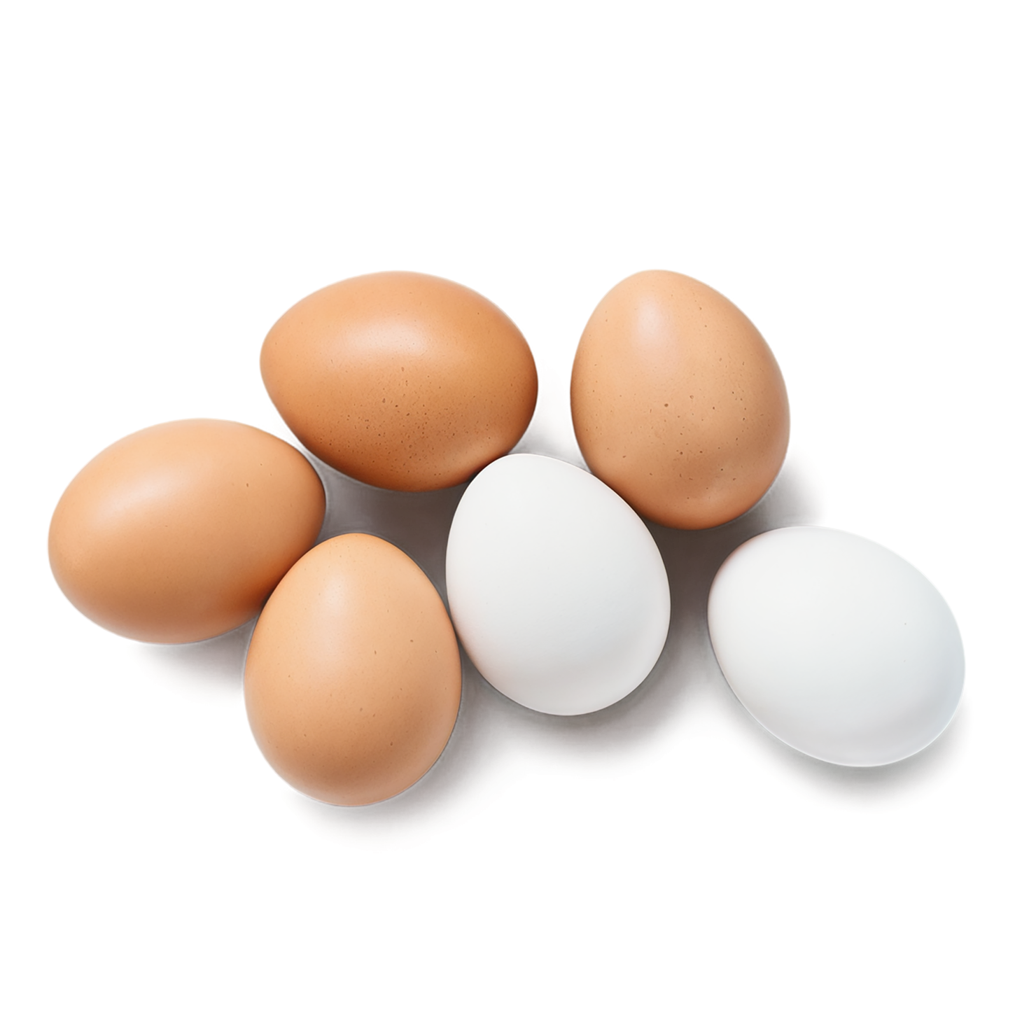 Egg proteins isolated on transparent background #8395