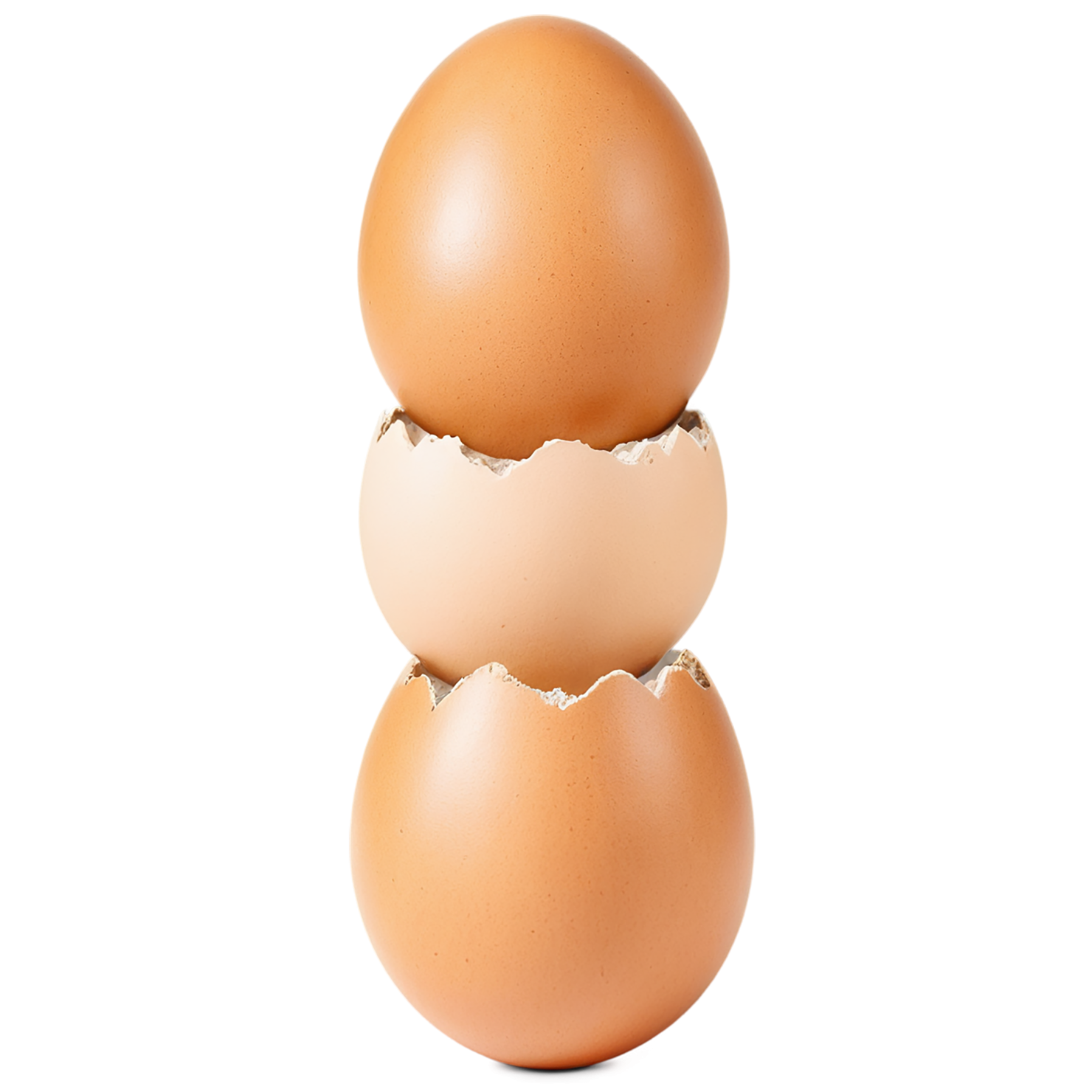 Egg proteins isolated on transparent background #8397