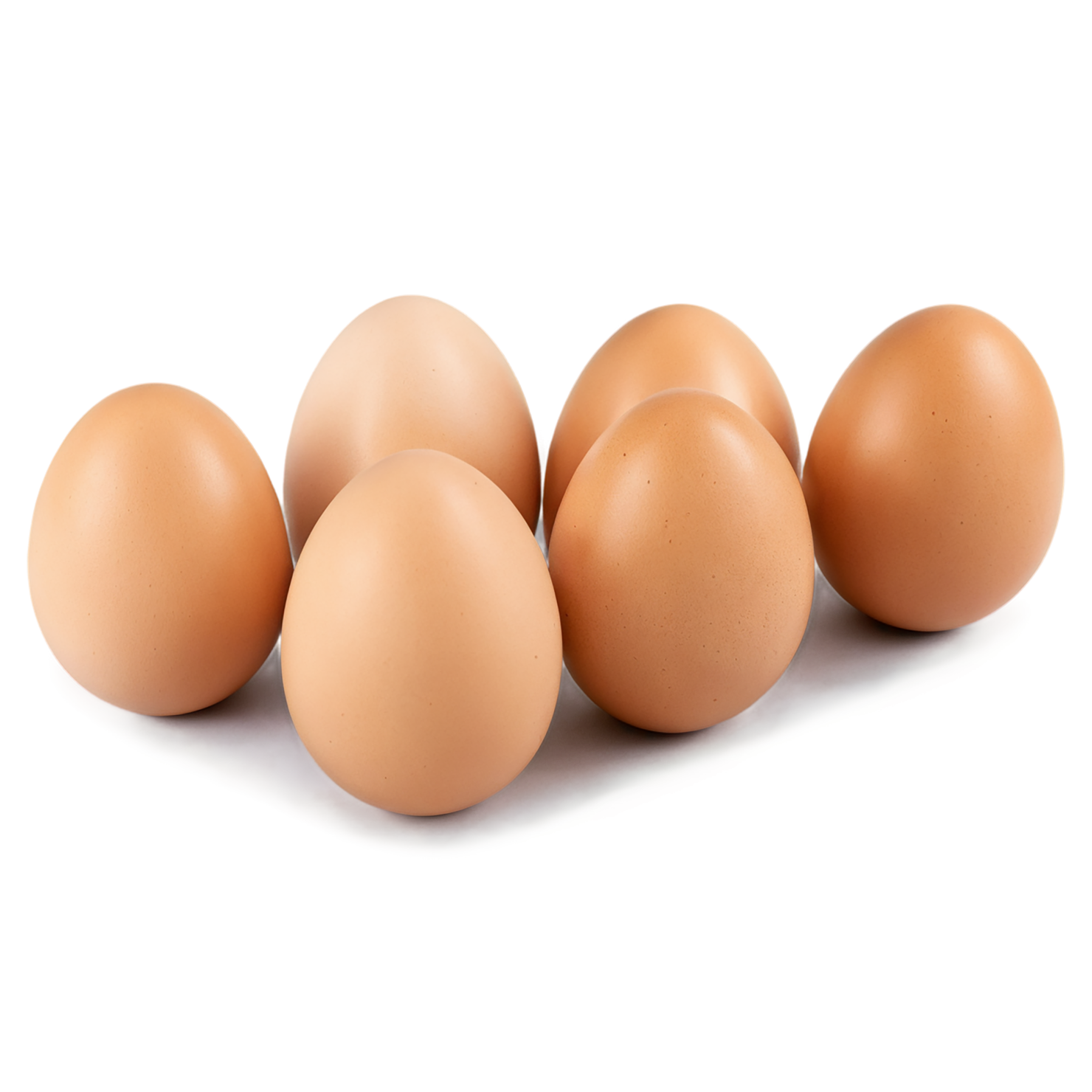 Egg proteins isolated on transparent background #8402