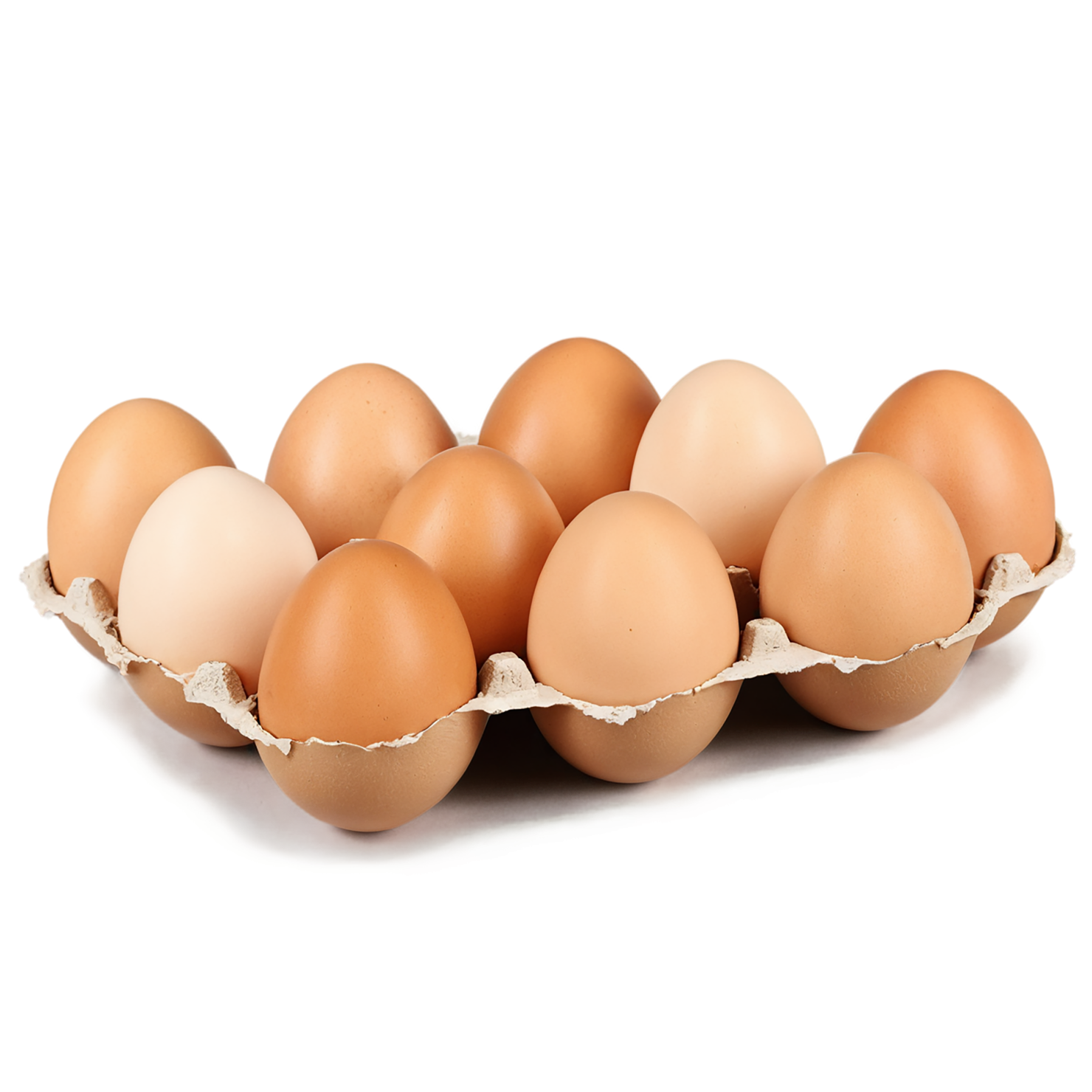 Egg proteins isolated on transparent background #8404