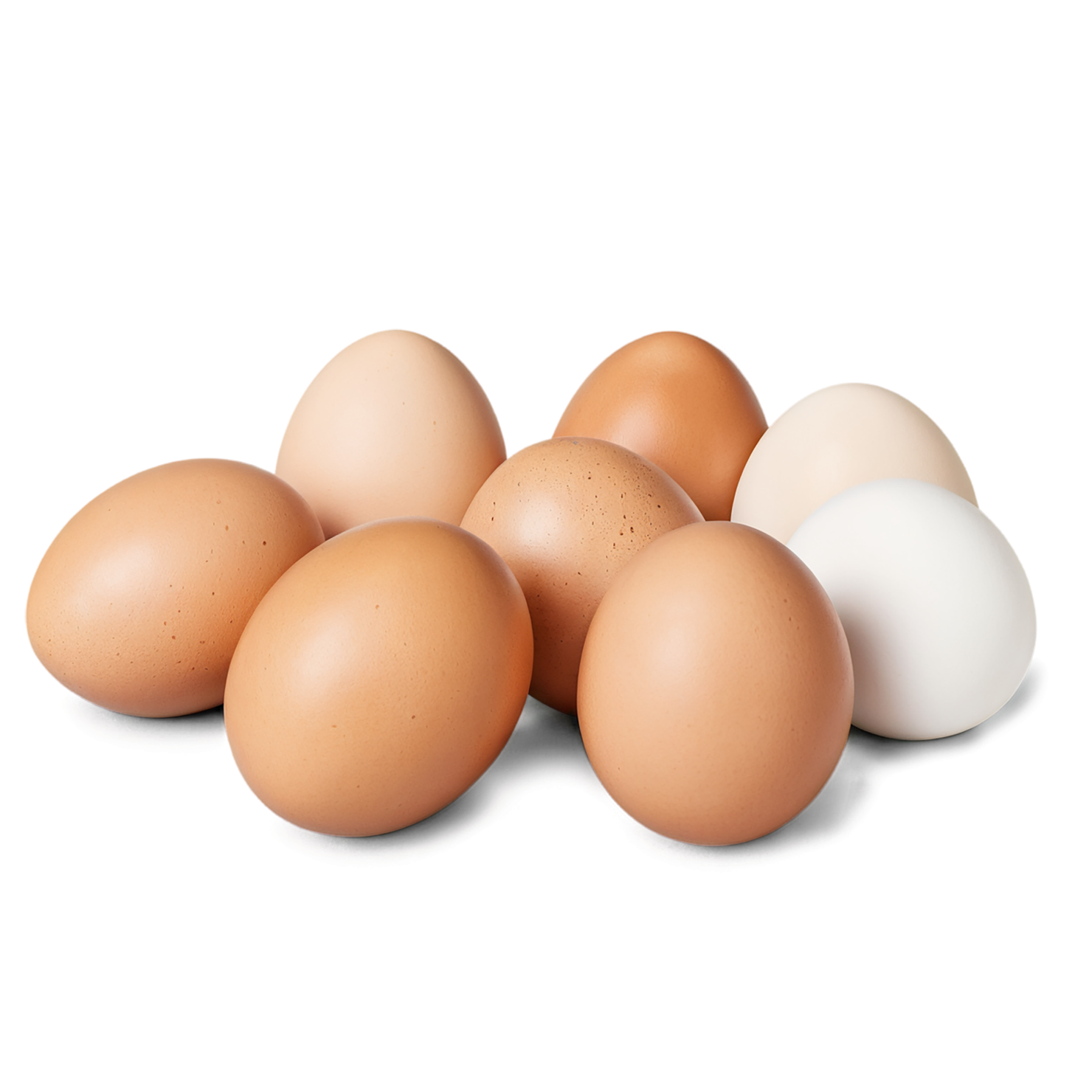 Egg proteins isolated on transparent background #8405