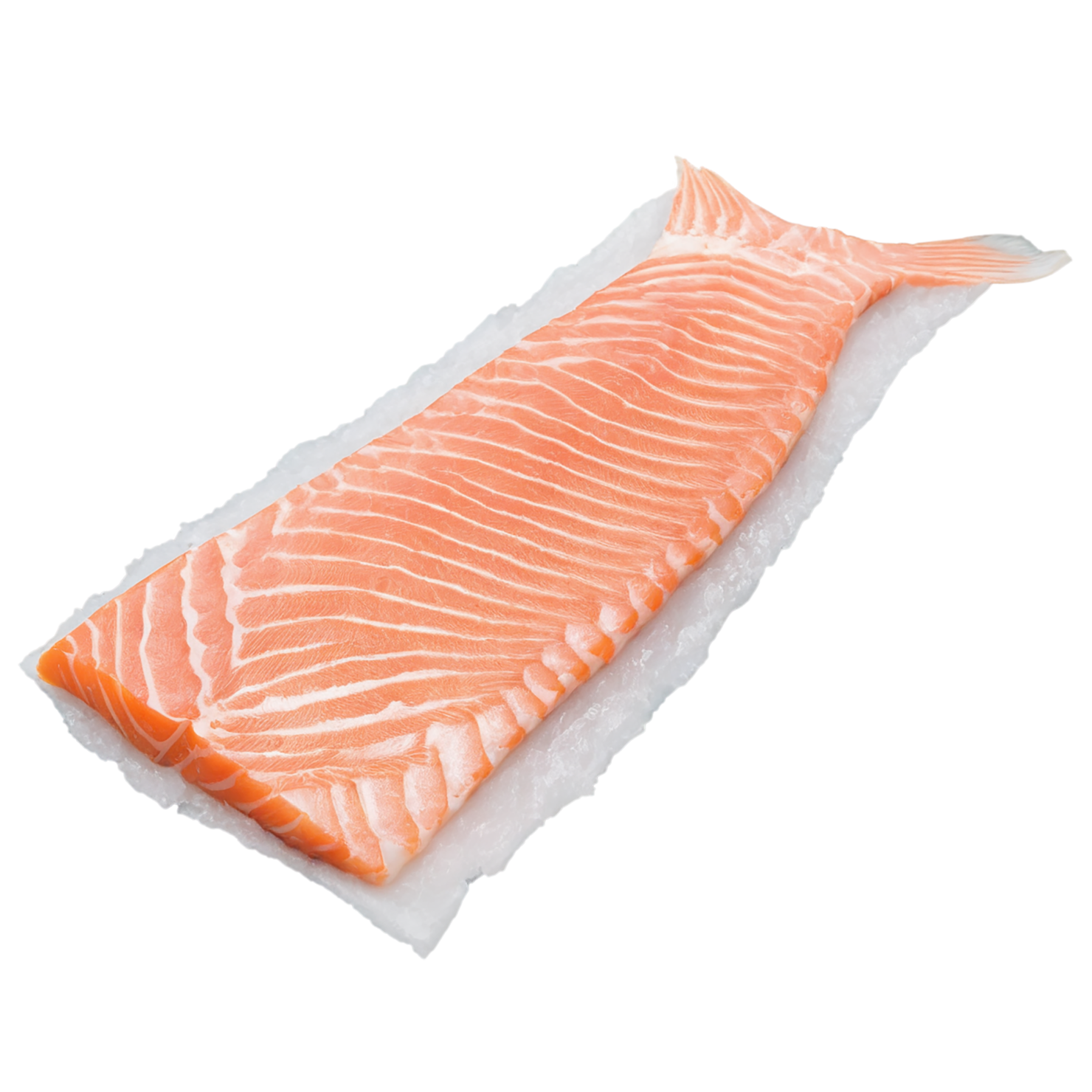 Fish fillet proteins isolated on transparent background #8526
