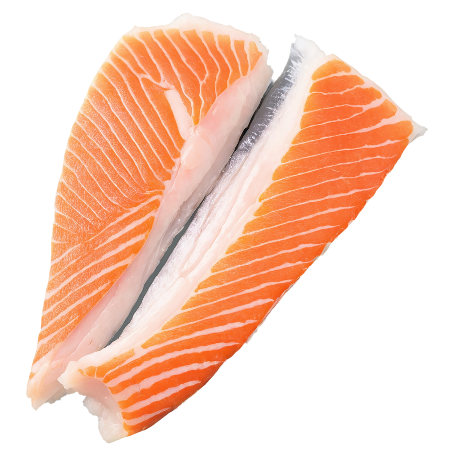 Fish fillet proteins isolated on transparent background #8528