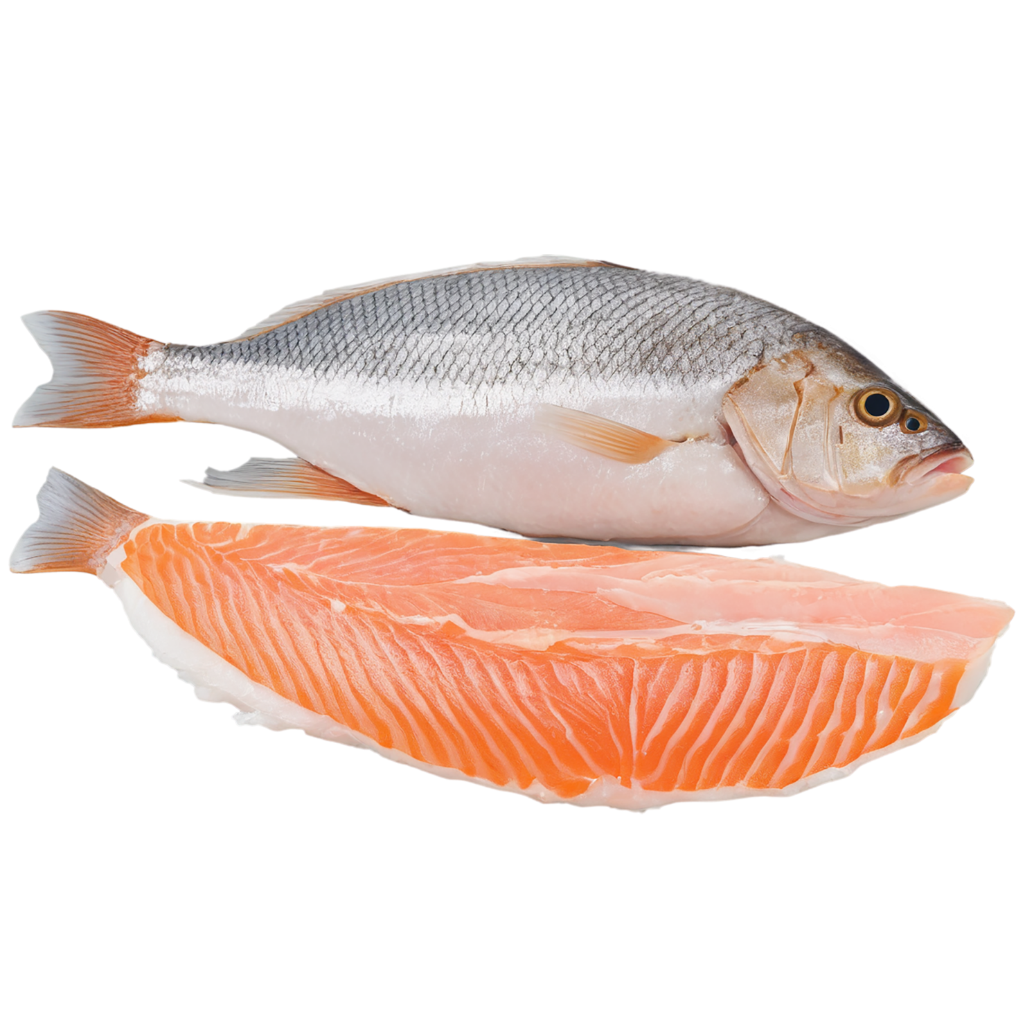 Fish fillet proteins isolated on transparent background #8529