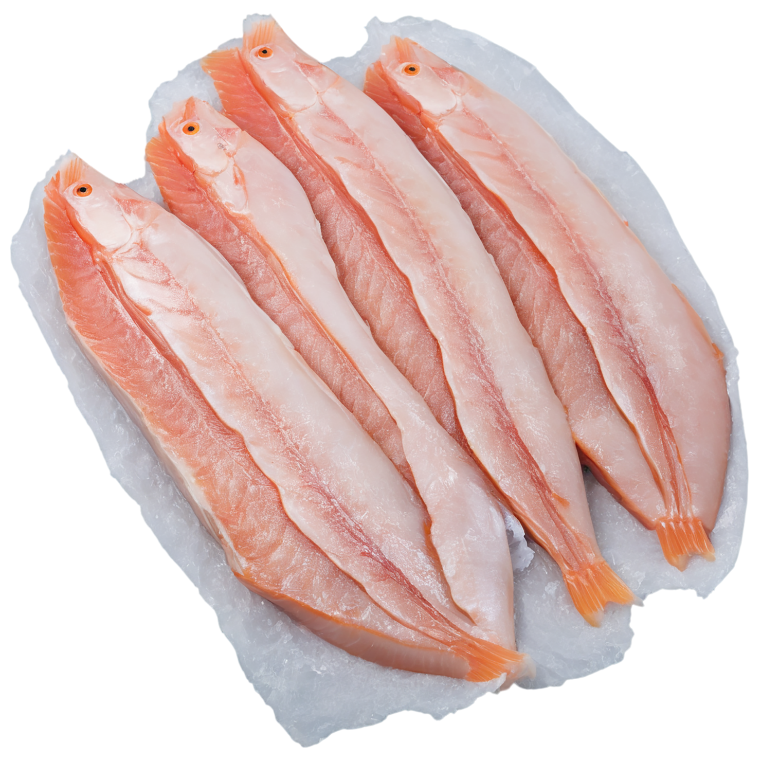Fish fillet proteins isolated on transparent background #8530