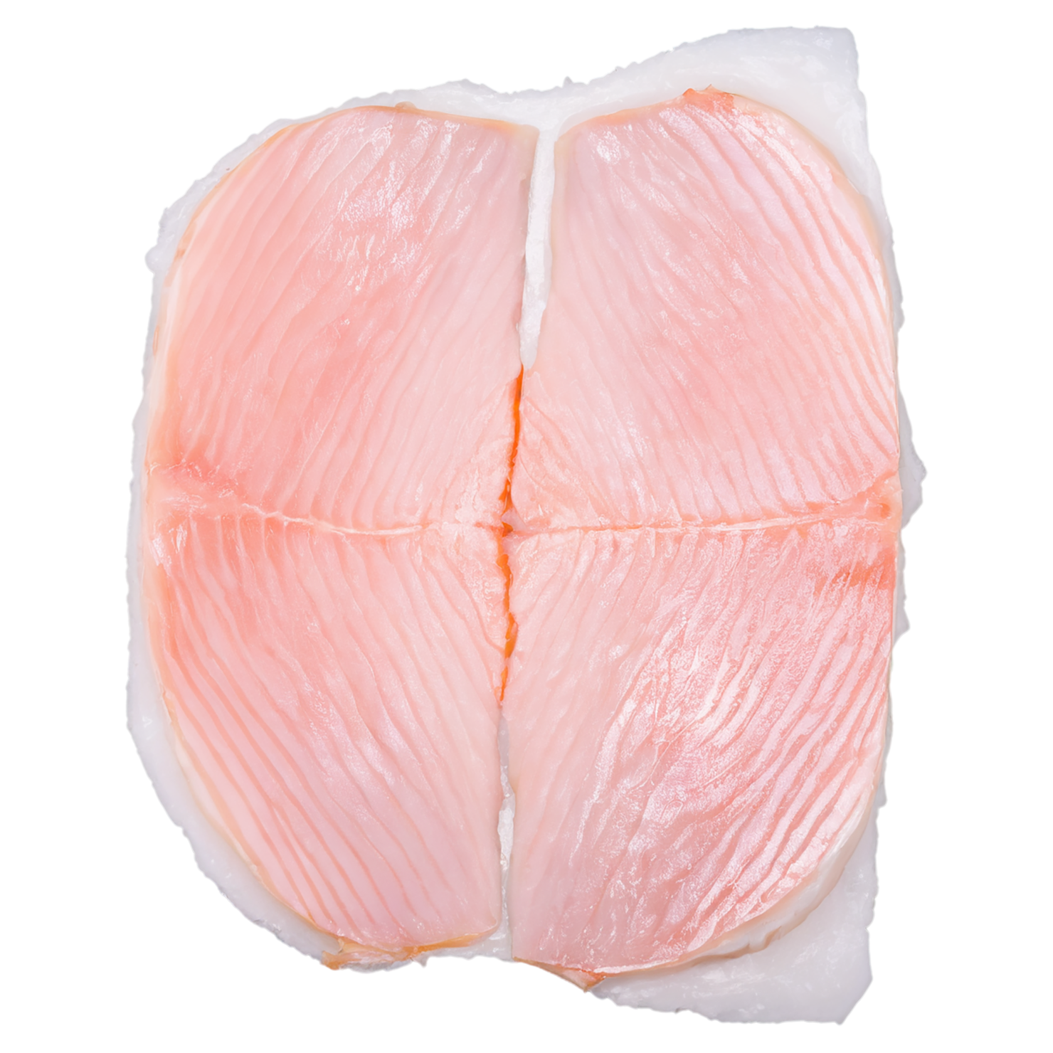 Fish fillet proteins isolated on transparent background #8531