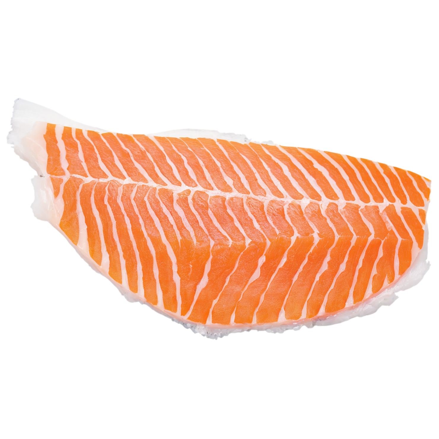 Fish fillet proteins isolated on transparent background #8533