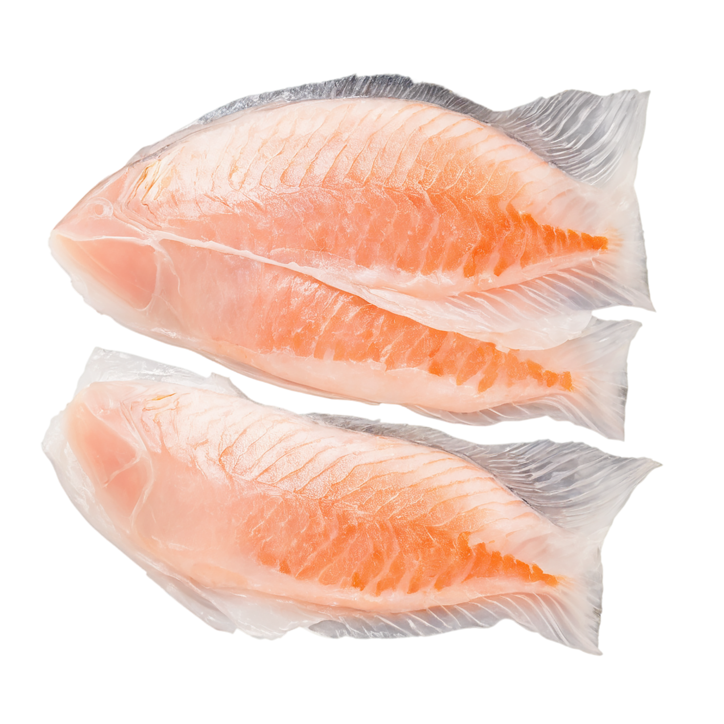 Fish fillet proteins isolated on transparent background #8534